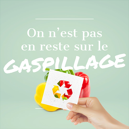 Lutte contre le gaspillage industriel