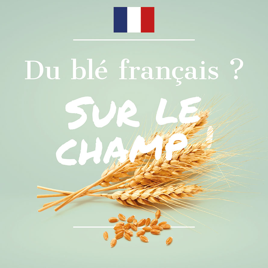 Blé Français