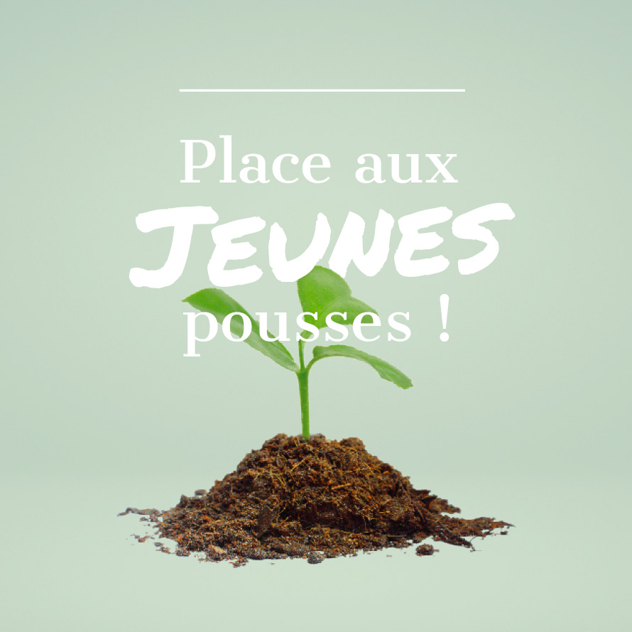 Insertion des jeunes
