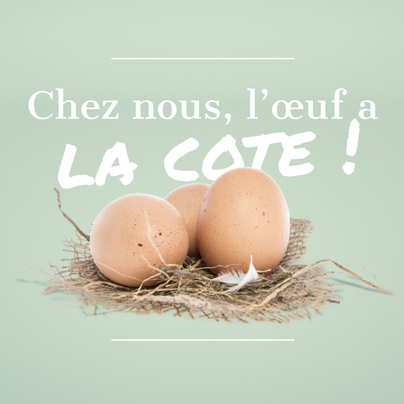 Œufs "œufs 100% issus d’élevages sans cages