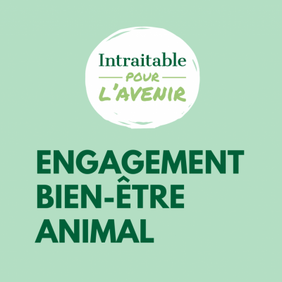 Engagement bien-être animal 