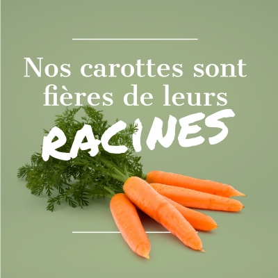 Engagements pour l'environnement : carottes origine France